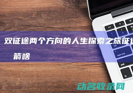 双征途 两个方向的人生探索之旅 (征途双二重箭啥意思)