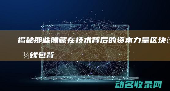 揭秘那些隐藏在技术背后的资本力量 区块链钱包背后的投资人 (揭秘那些隐藏物品)